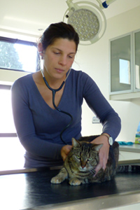 Verzorging kleine huisdieren